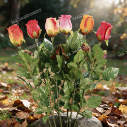 ROSE GOUTTE ARTIFICIEL