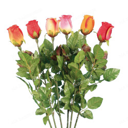 ROSE BOUTON GOUTTE EAU ASS