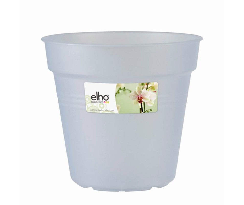 POT GREEN BASICS ORCH DIAMETRE 15CM TRANS