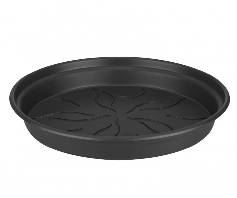 SOUCOUPE GREEN BASIC DIAMETRE 22CM NOIR