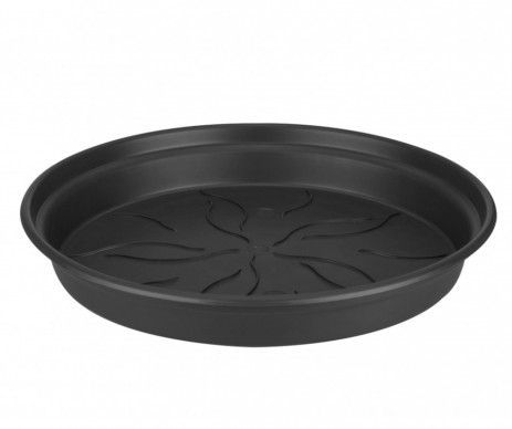 SOUCOUPE GREEN BASIC DIAMETRE 10CM NOIR