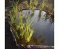 BORDURE DE JARDIN L15M x H14CM- BORDERFIX