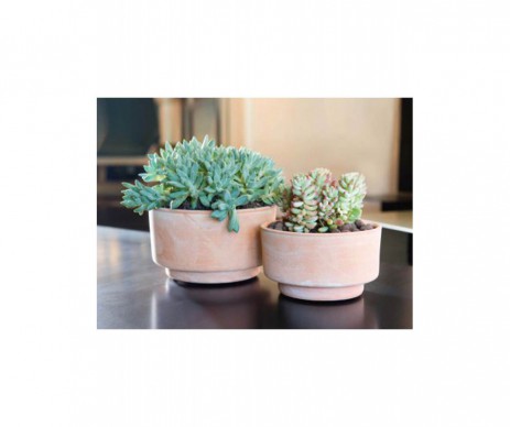 COUPE TERRE CUITE 21CM