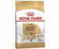 CROQUETTES LABRADOR ADULT 12KG ROYAL CANIN