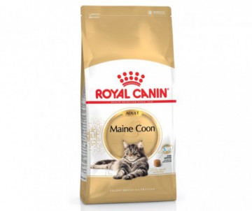 CROQUETTES MAINE COON ADULT 4KG ROYAL CANIN