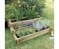 CARRE POTAGER