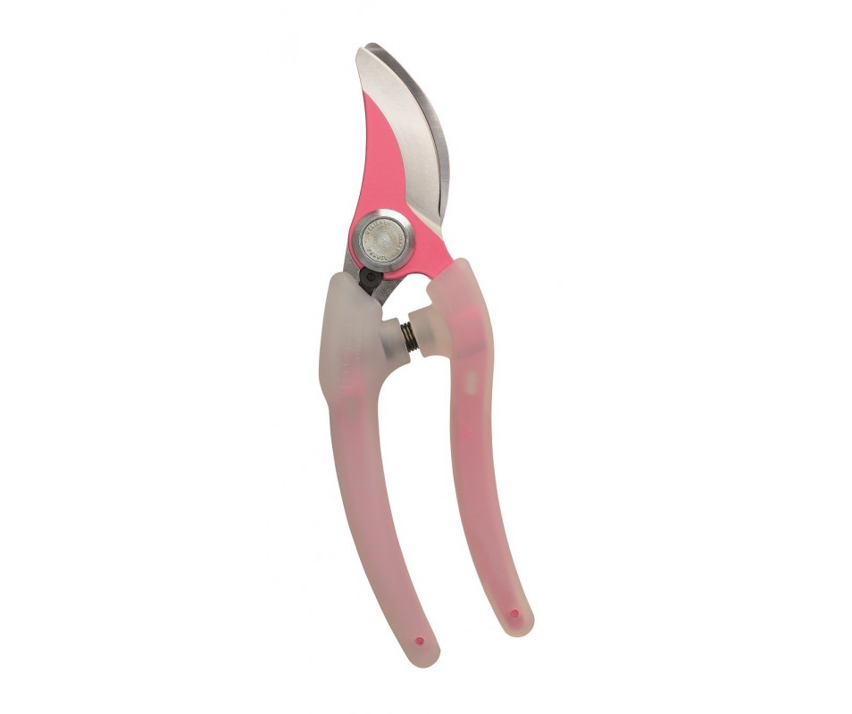 SECATEUR CLARITY ROSE
