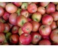 POMMES IDARED SAC DE 5KG