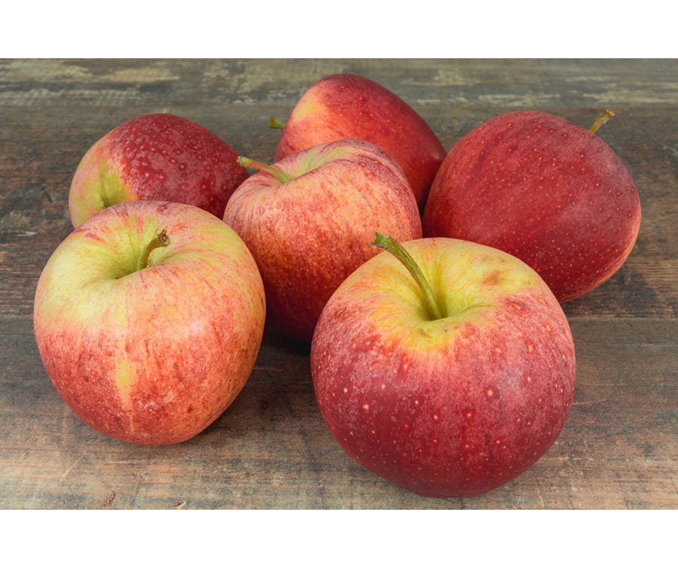 POMMES ROYAL GALA SAC DE 5KG