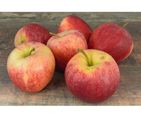 POMMES ROYAL GALA SAC DE 5KG