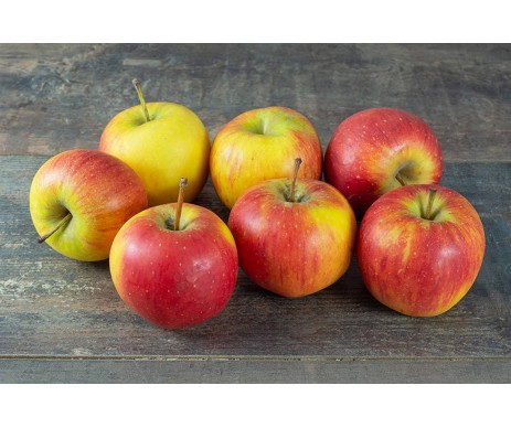 POMMES PINOVA SAC DE 5KG