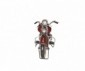 HARLEY DAVIDSON BRUNE
