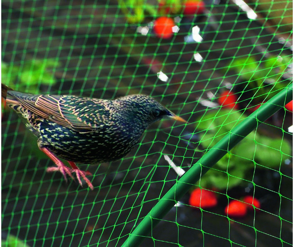 Filet De Protection Contre Les Oiseaux Filet Anti-Oiseaux Filet anti-oiseau  en polyéthylène filet de jardin verger extrusion 4x5M
