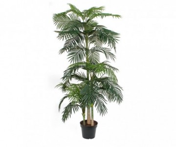 PALMIER H240 VERT POT PLASTI
