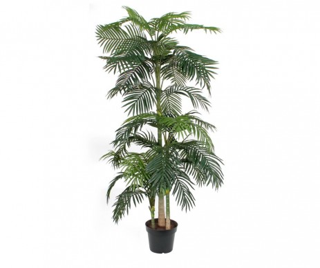 PALMIER H240 VERT POT PLASTI