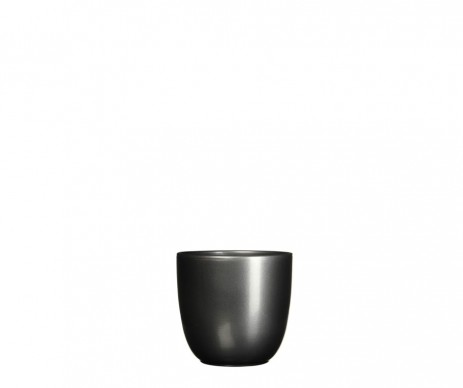 POT RD TUSCA ANTHR  H9CM