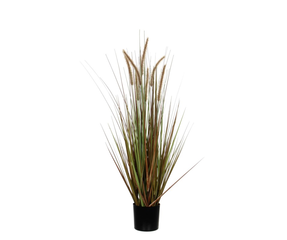 POT HERBE PANACHE H150 VERT