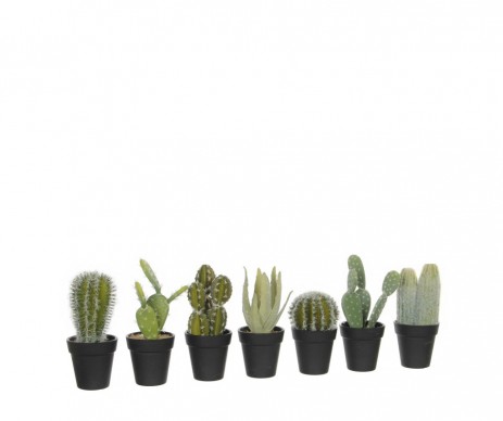 CACTUS VERT H18D12CM