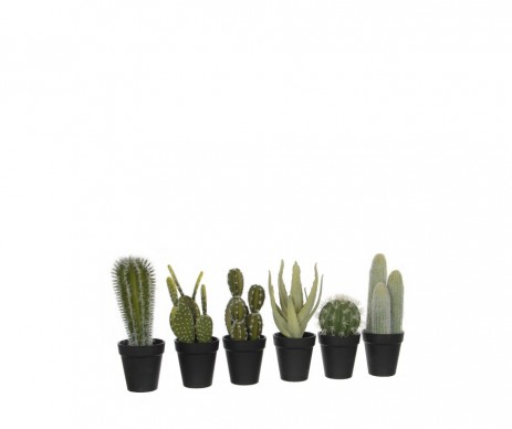 CACTUS VERT H28D12CM