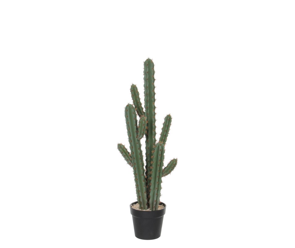 CACTUS /POT VERT-L39XB20XH95CM