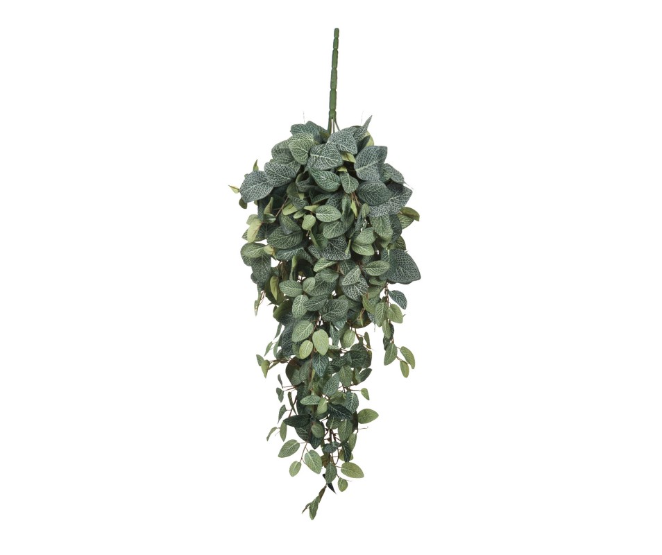 CHUTE PILEA VERT L70XB30XH20CM
