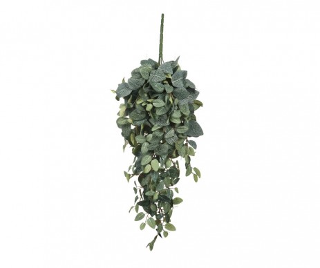 CHUTE PILEA VERT L70XB30XH20CM