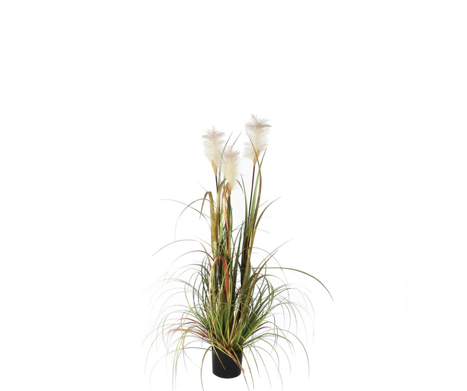 HERBE PANACHE VERT H120XD45CM