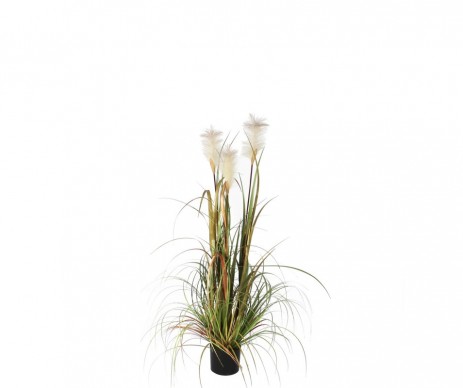 HERBE PANACHE VERT H120XD45CM