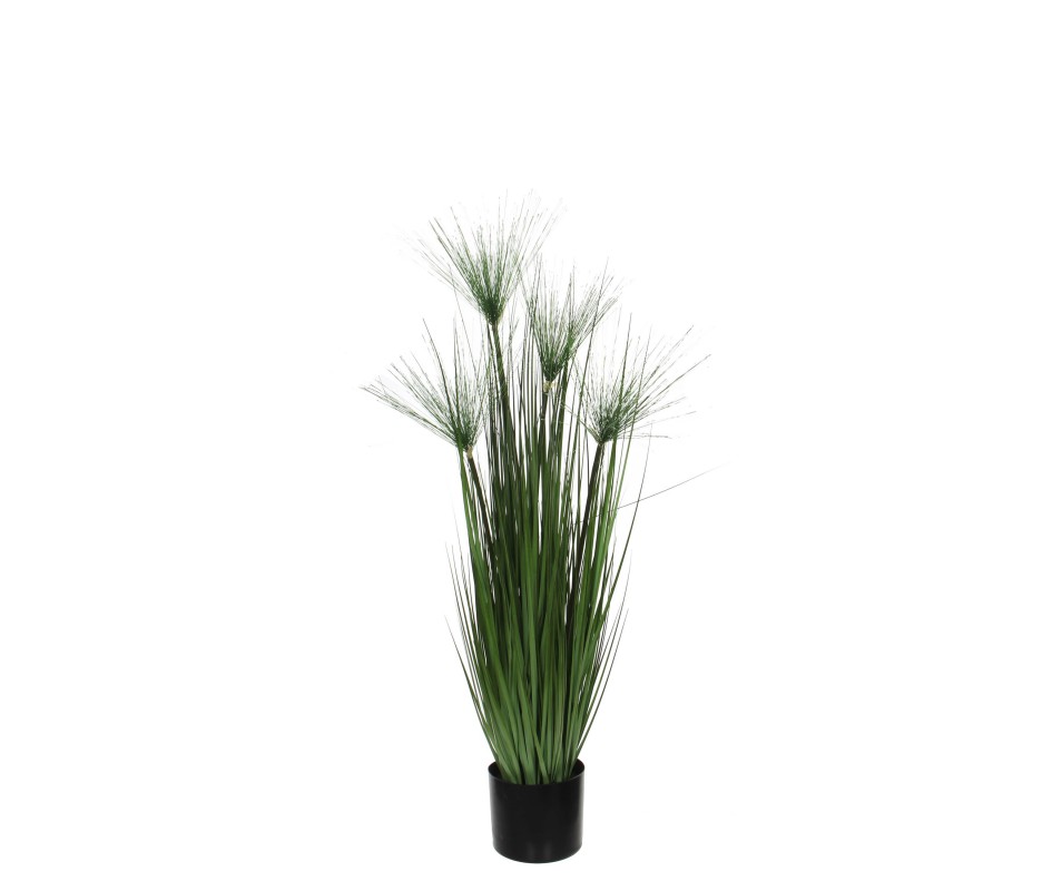 PAPYRUS /POT VERT H102XD15CM