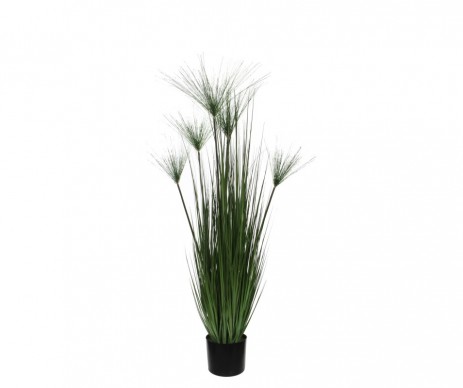 PAPYRUS /POT VERT H127XD17CM