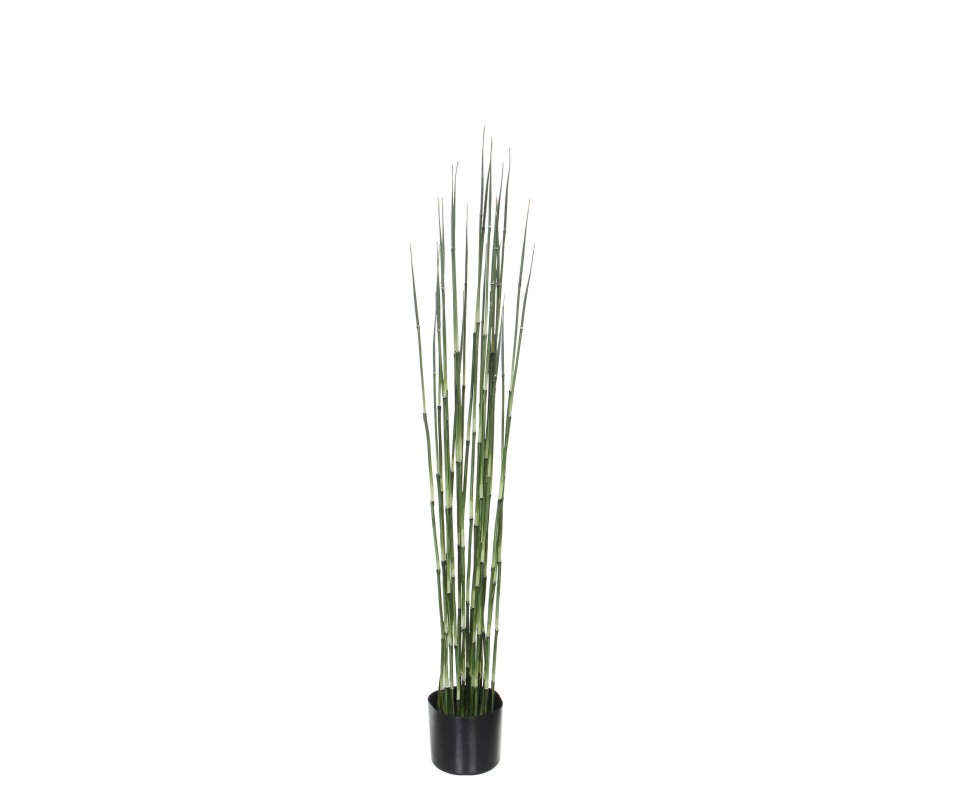 BAMBOU /POT VERT -H120XD15CM