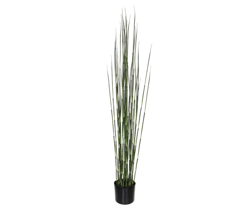 BAMBOU /POT VERT -H150XD17CM