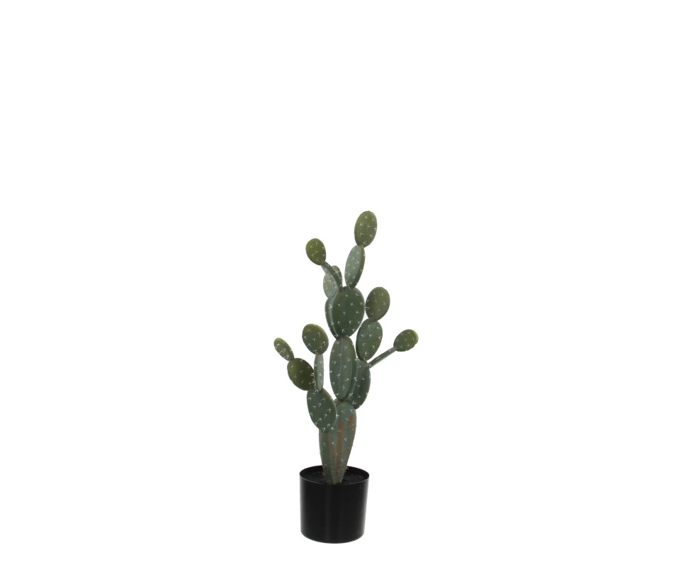 CACTUS /POT VERT -H79XD35CM