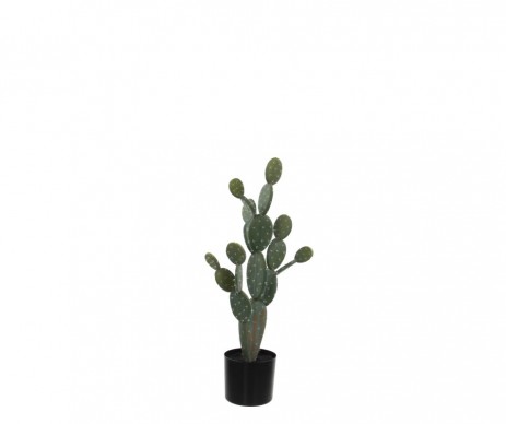 CACTUS /POT VERT -H79XD35CM