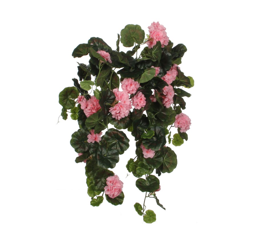 GERANIUM SUSP ROSE - L60CM