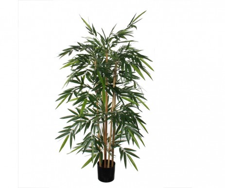 BAMBOU VERT - H150XD75CM