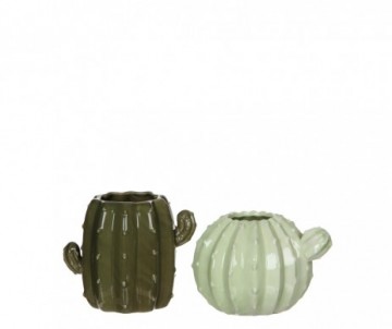 VASE CACTUS VER 2 ASS