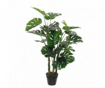 MONSTERA - H100XD75CM