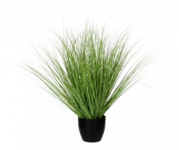 GRAS VERT /POT H68CM