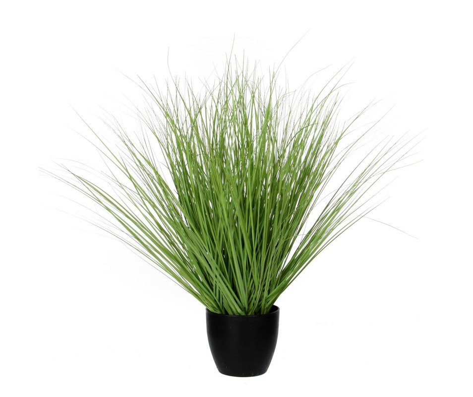 GRAS VERT /POT H68CM