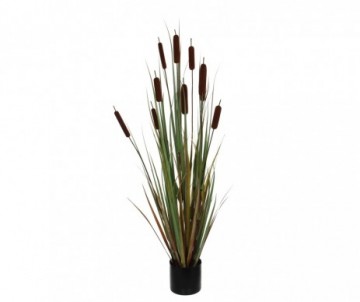 TYPHA - H120XD15CM