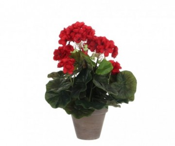 GERANIUM RG POT GRIS H34XD20CM