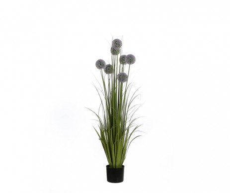 ALLIUM POT PLAST VIOLET H122CM