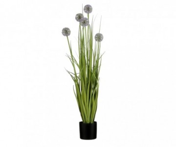 ALLIUM POT PLAST VIOLET H90CM