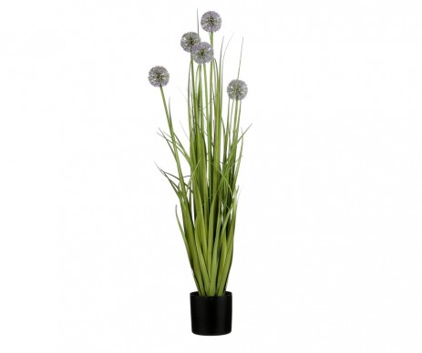 ALLIUM POT PLAST VIOLET H90CM