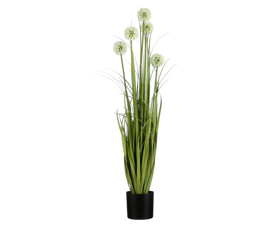 ALLIUM POT PLASTIQUE BLC H90CM