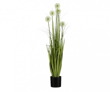ALLIUM POT PLASTIQUE BLC H90CM