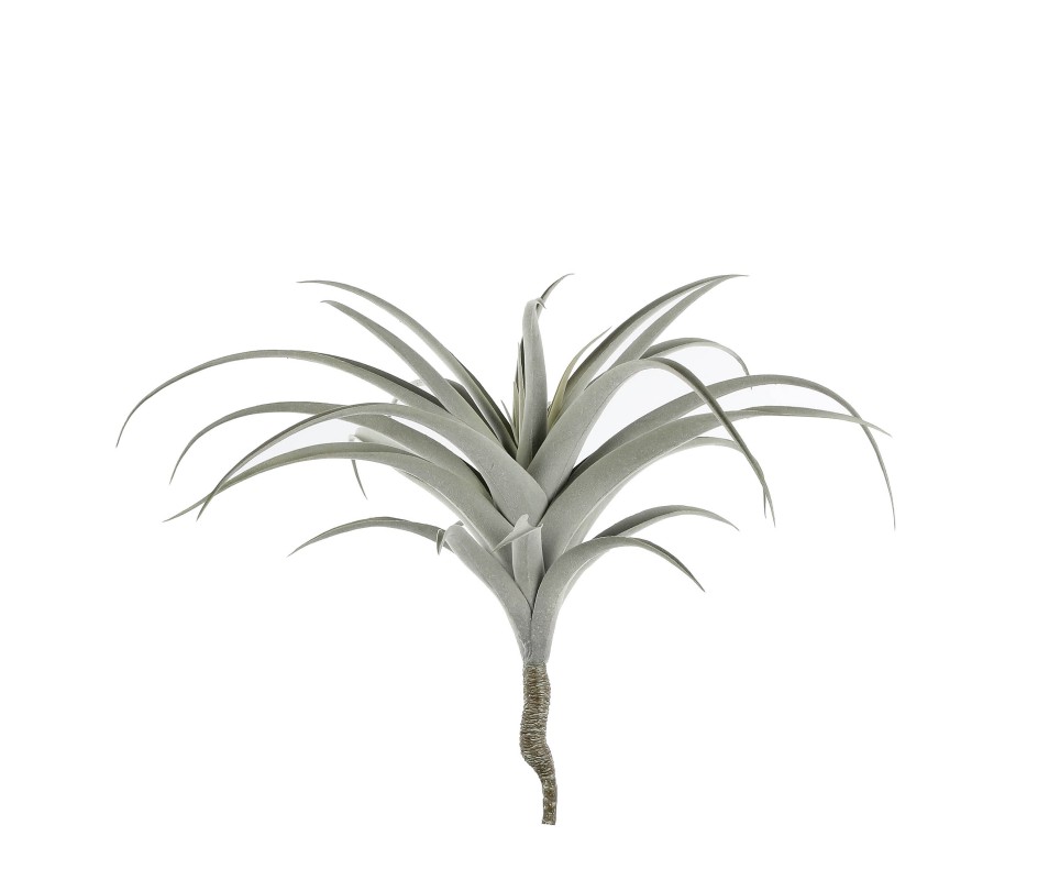 ALOE VERA GRIS H42XD54CM
