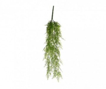 CYPRES SUSPENDRE VERT - L95CM
