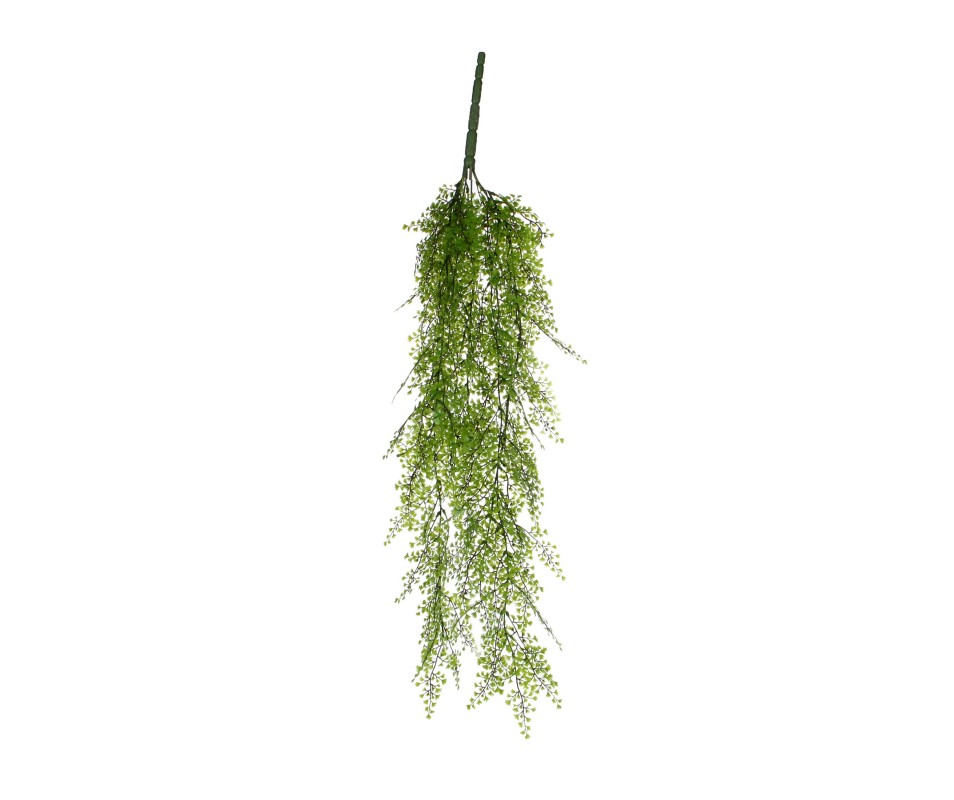 CYPRES SUSPENDRE VERT - L95CM